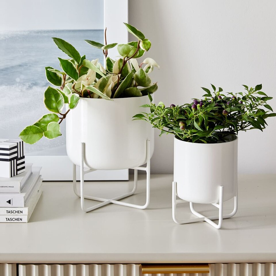 Spun Metal Tabletop Planters White West Elm Australia